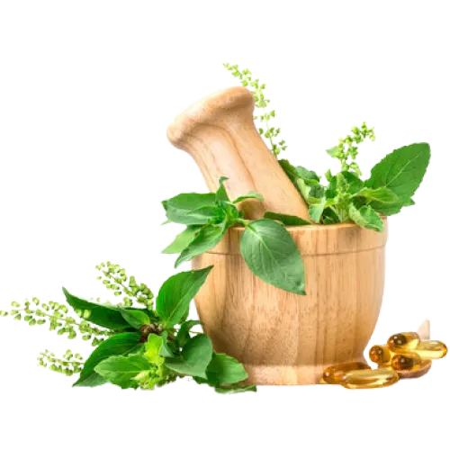 wellness nature